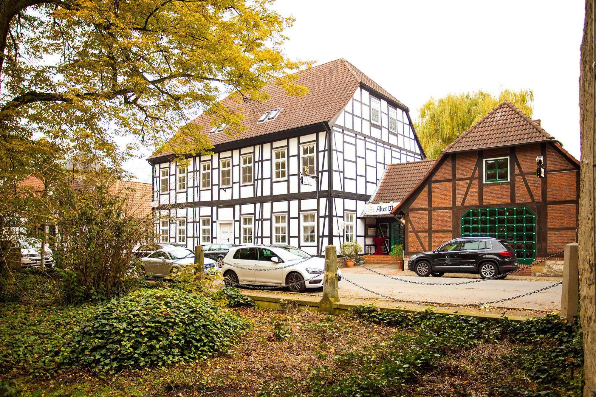 Hotel Alter Wolf Wolfsburg Exterior foto